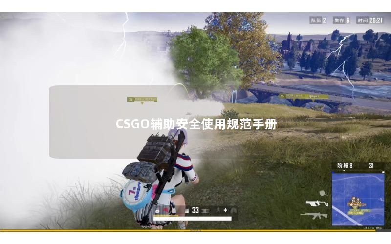 CSGO辅助安全使用规范手册 CSGO辅助安全使用规范手册