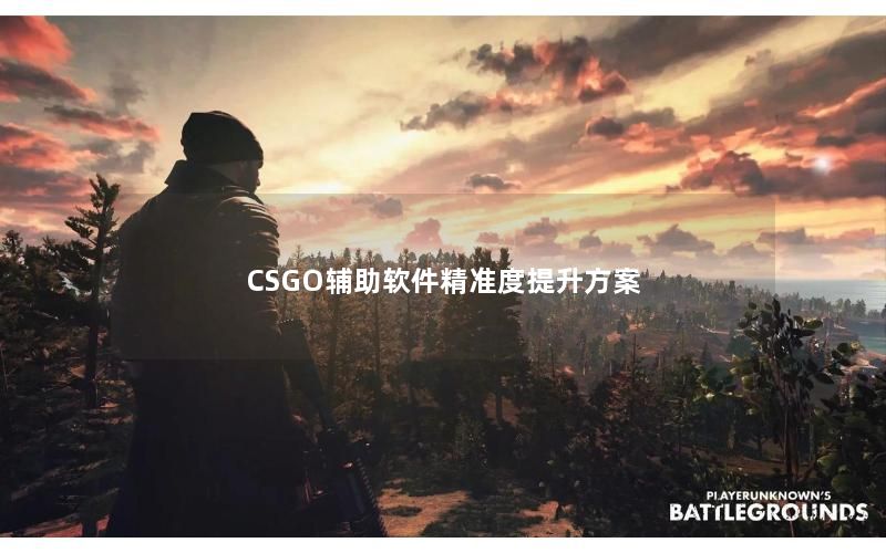 CSGO辅助软件精准度提升方案 CSGO辅助软件精准度提升方案