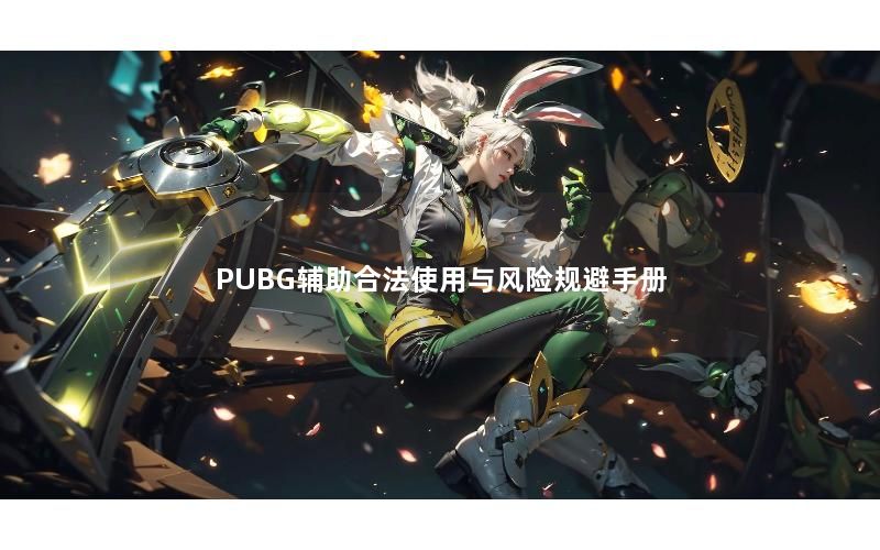 PUBG辅助合法使用与风险规避手册