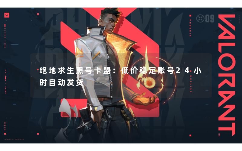 绝地求生黑号卡盟：低价稳定账号24小时自动发货