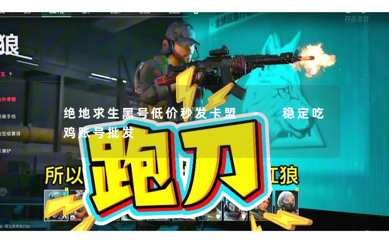 绝地求生黑号低价秒发卡盟 - 稳定吃鸡账号批发
