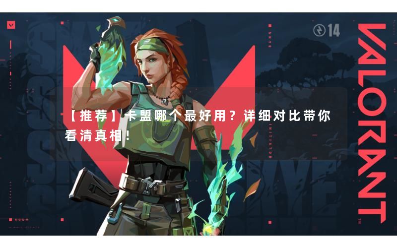 【推荐】卡盟哪个最好用？详细对比带你看清真相！