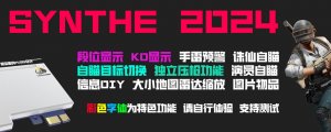 DMA-SY-「雷达共享_独立压枪_精准漏打」- 专业游戏