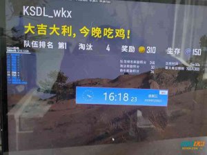 绝地求生杜卡迪辅助工具，无需重启电脑永久生效