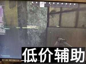逃离塔科夫跑刀辅助：全功能雷达 骨骼透视 方框血条 AI玩家识别