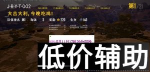 绝地求生炎天高端辅助驱动 稳定超强内部版