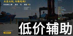 绝地求生国际服黑咖辅助内部版，主播专用稳定不封号