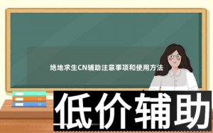 绝地求生CN辅助使用指南与注意事项详解