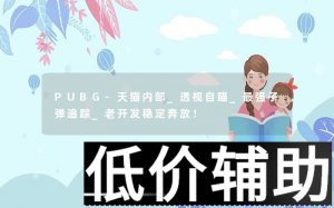 PUBG-天猫内部透视自瞄 最强子弹追踪 老牌稳定奔