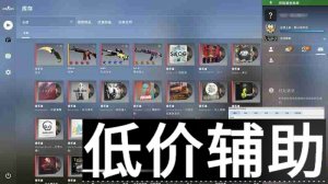 <b>CSGOaskware辅助：提升游戏表现的终极指南</b>