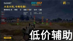 绝地求生梦璃辅助-独家追踪绘制稳定不闪退