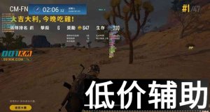 绝地求生草莓辅助最新稳定版下载