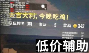 绝地求生奥斯卡辅助原飘雪 - 专业辅助工具解析与下载
