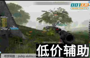 绝地求生修罗辅助：防截图过OBS终极解决方案
