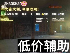 绝地求生咸鱼辅助 外部绘制功能清爽优化