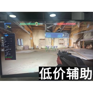 「CC单透」外挂实测：无畏契约最强透视功能曝光！