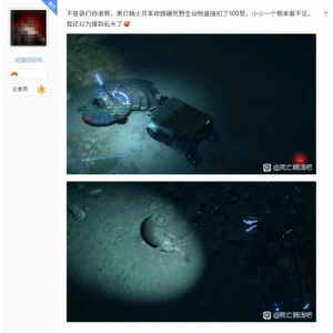<b>还以为是减速带呢 《死亡搁浅2》玩家撞死动物被扣赞</b>